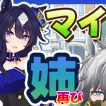 【 #ウマ娘 】45｜周回！次回チャンミに向け逃げキャラ初育成！【#プリティーダービー  / シュヴァル】