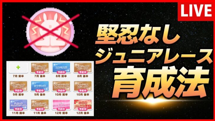 【ウマ娘】堅忍なしジュニアレース育成チャートをまとめよう【生放送】