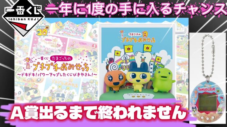 【一番くじ たまごっち】フルから勝負!!事故って散財、神残してしまう。プチプチおみせっち ～ドキドキ！パワーアップしたくじびきやさん！～【TAMAGOTCHI】