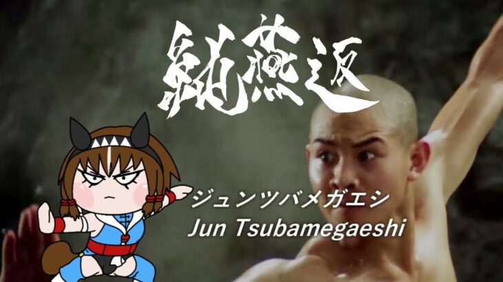 【たぬき】DTF2シリーズキャラクター解説篇Part4【ウマ娘】