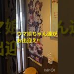 ウマ娘とCOCO’Sのコラボイベント #うま娘 #ウマ娘プリティーダービー