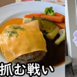 【ウマ娘】これは財布ではなく心を抓むコラボ