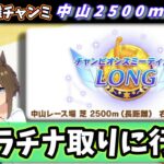 【1月チャンミ決勝】中山2500ｍチャンミ決勝を走る！プラチナください！【ウマ娘/Umamusume】