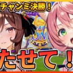 【ウマ娘】チャンミLONG決勝！勝たせてお願い！！チル雑談配信 初見さん歓迎！　【ウマ娘プリティーダービー】
