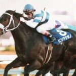 『ウマ娘』でもキャラクター屈指の”巨体”で人気のヒシアケボノ　ＧＩ初制覇で見せた圧巻の重戦車ぶり