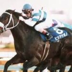 『ウマ娘』でもキャラクター屈指の”巨体”で人気のヒシアケボノ　ＧＩ初制覇で見せた圧巻の重戦車ぶり