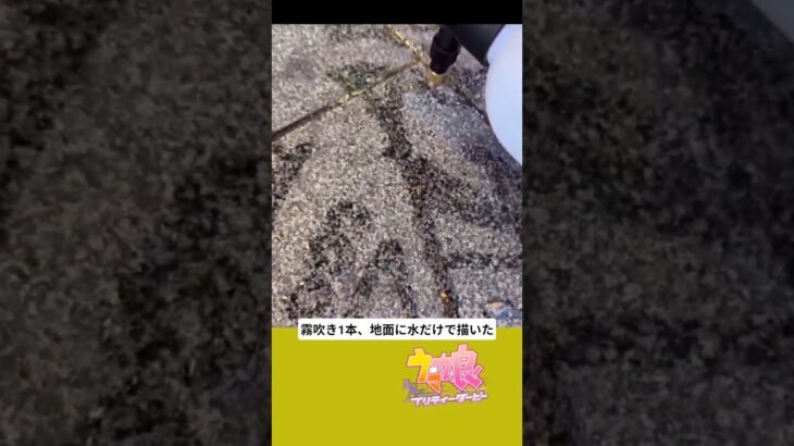 霧吹き1本、地面に水だけで描いたウマ娘キャラの… #キングヘイロー  #ウマ娘 #ウマ娘プリティーダービー #ミストアート #イラスト