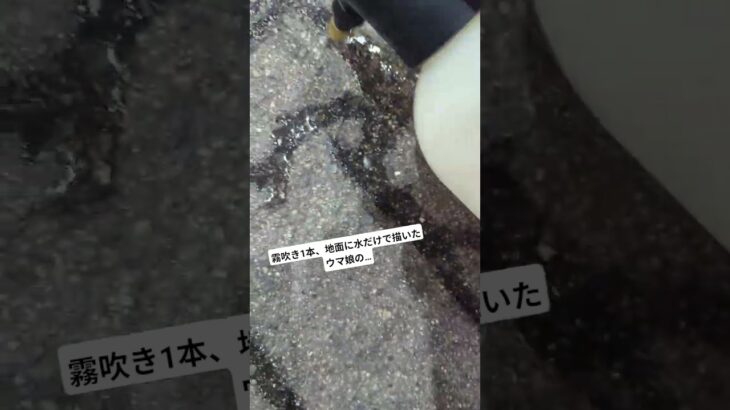 霧吹き1本、地面に水でウマ娘のキャラ描いてみました。是非最後までご覧ください。 #ウマ娘 #よしトレ #ウマ娘プリティーダービー #ライスシャワー