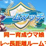 同一育成ウマ娘で3レース【ウマ娘 ルームマッチ】
